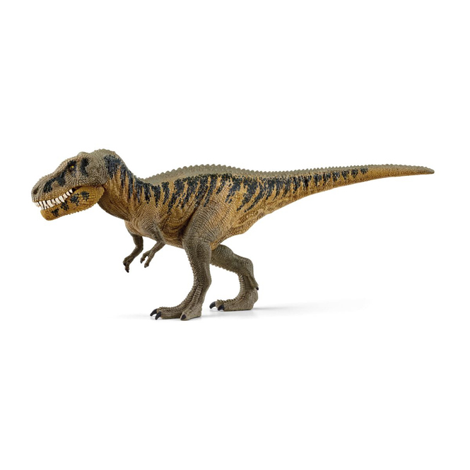 DINOSAURS - Tarbosaurus