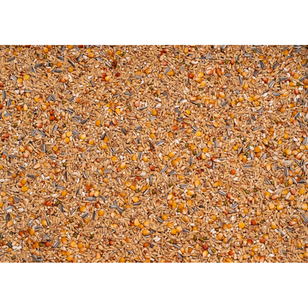 Beyers Original Rust- Winter 25 kg