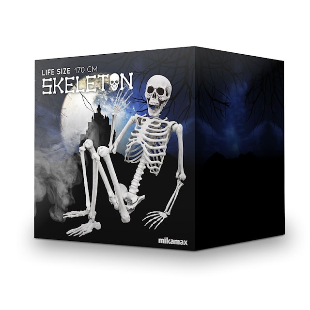 Human-size Skeleton 1.70m