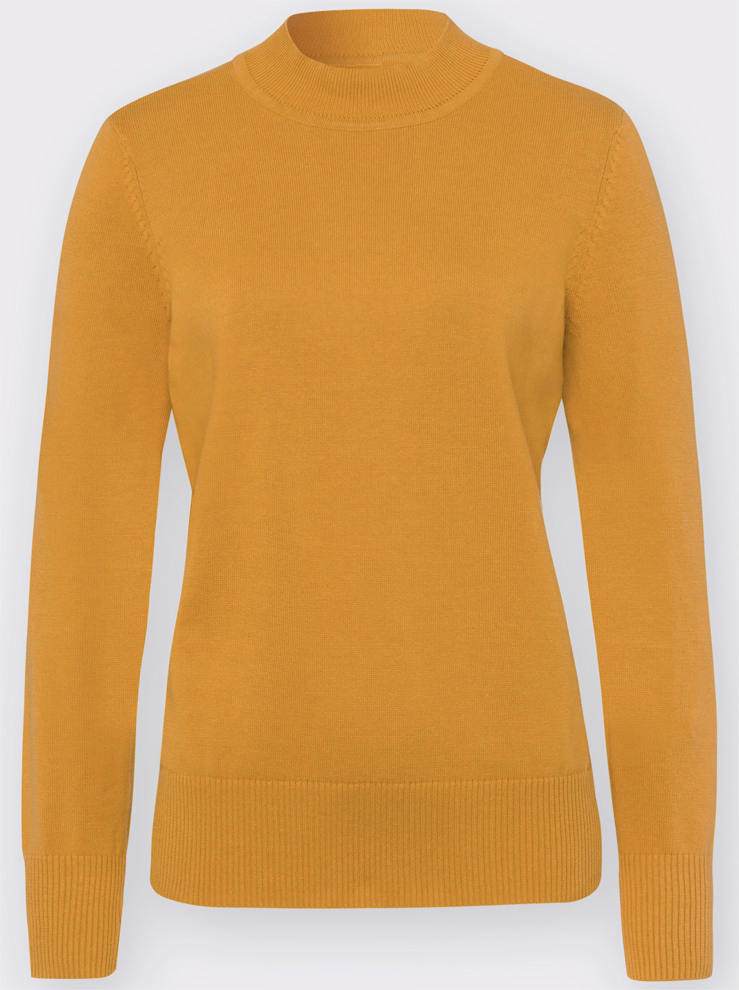 Strickpullover mit geripptem Stehkragen