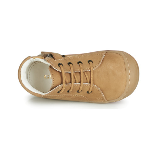 GBB - FREDDO - Cognac