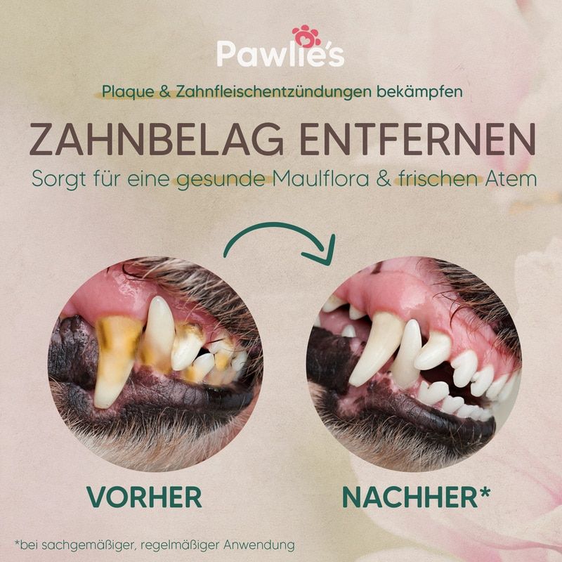 Pawlie's Zahnpasta & Zahnpflege