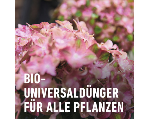 COMPO Biologische Bloemenmeststof 1,3 L Vloeibare Meststof met Kalium, Organische Meststof