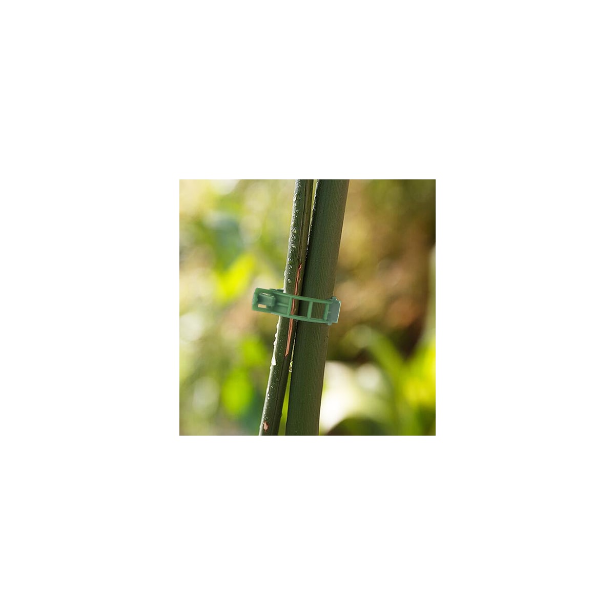 Klips for å støtte planter / espalier 100-pakning Grønn
