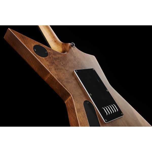 Solar Guitars E1.6AAN Aged Natural Matte