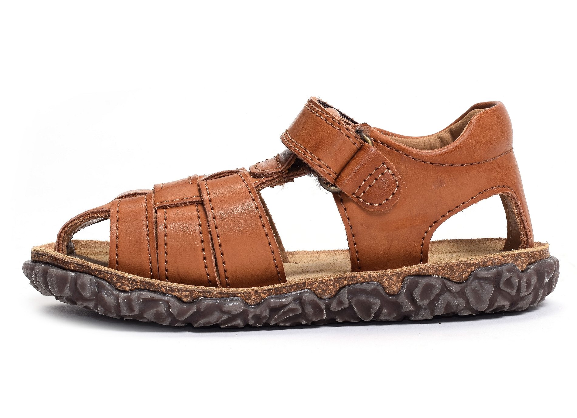 Raxi camel