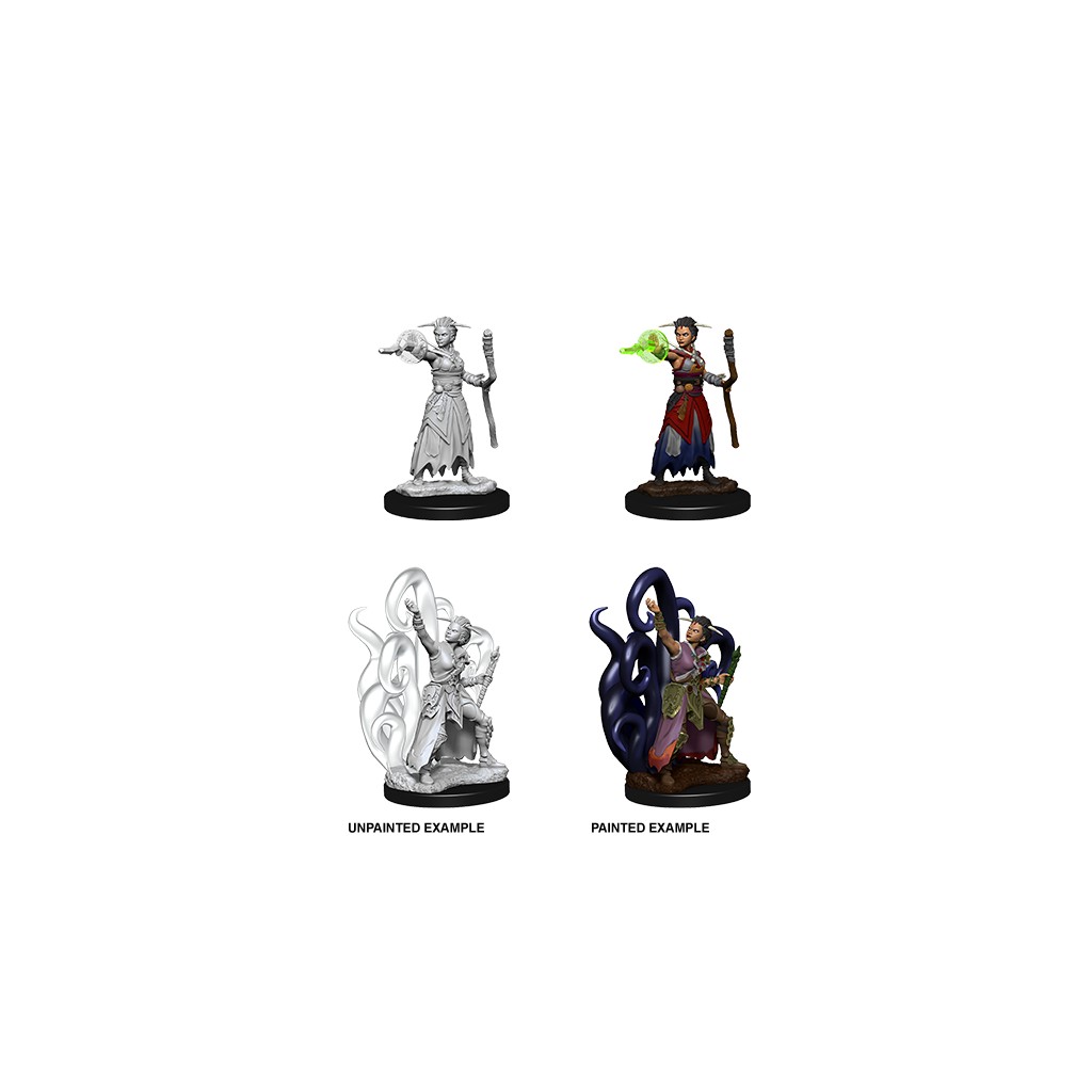 D&D Nolzur's Marvelous Unpainted Miniatures: Female Human Warlock