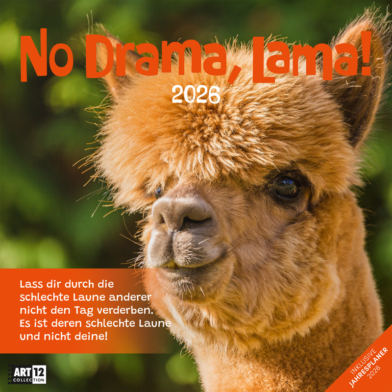Ackermann Kunstverlag Bildkalender 2026 No Drama, Lama, 1 Monat / Seite