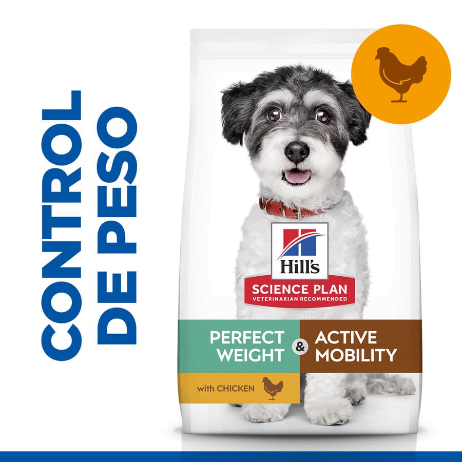 Plano de Ciências Hill's Peso Perfeito e Mobilidade Ativa Pequeno e Mini Frango para cachorros