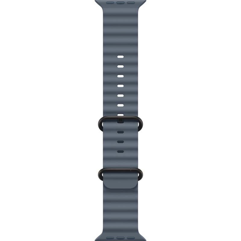 Apple Titanium Finish Bande Bleu Fluoroélastomère, Titane