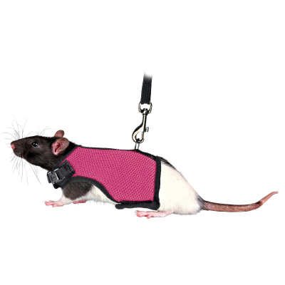 Trixie Softgeschirr mit Leine für Ratten