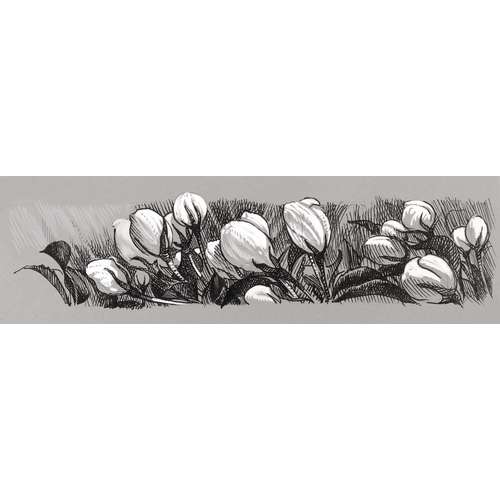 FABER-CASTELL PITT Artist Pen Black & White-Set