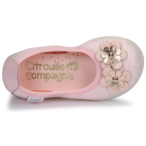 Citrouille et Compagnie - JATAMAL - Rose