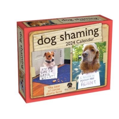 Dog Shaming 2024 Day-to-Day Calendar (Calendar)