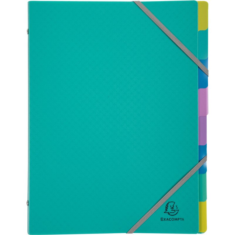 Trieur plastique Forever Young Exacompta 8 divisions couleurs assorties