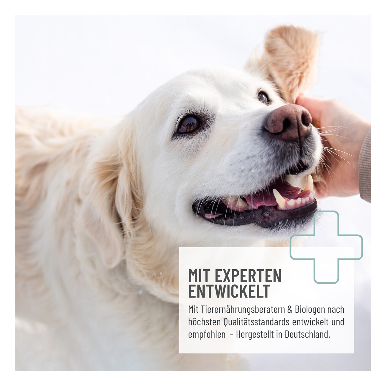 REAVET Relax Paste 30ml