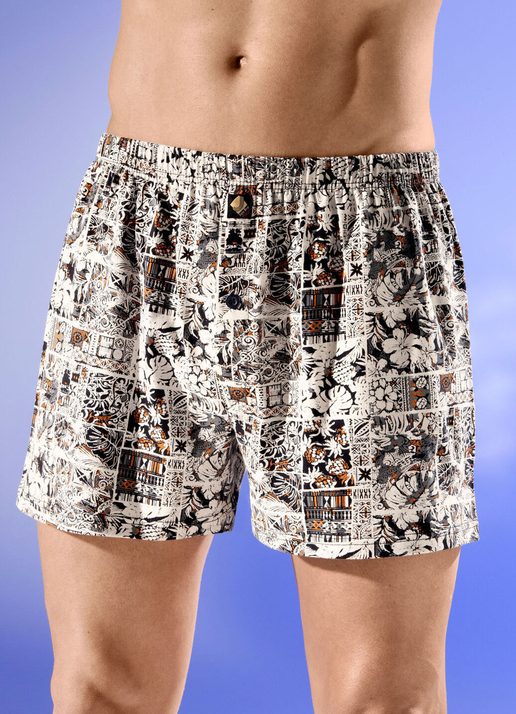 Viererpack Boxershorts mit Alloverdessin