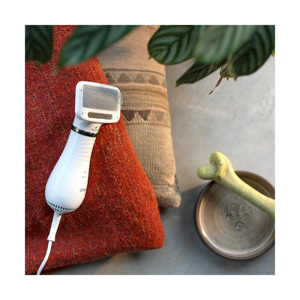 Brosse séchoir pour animaux
