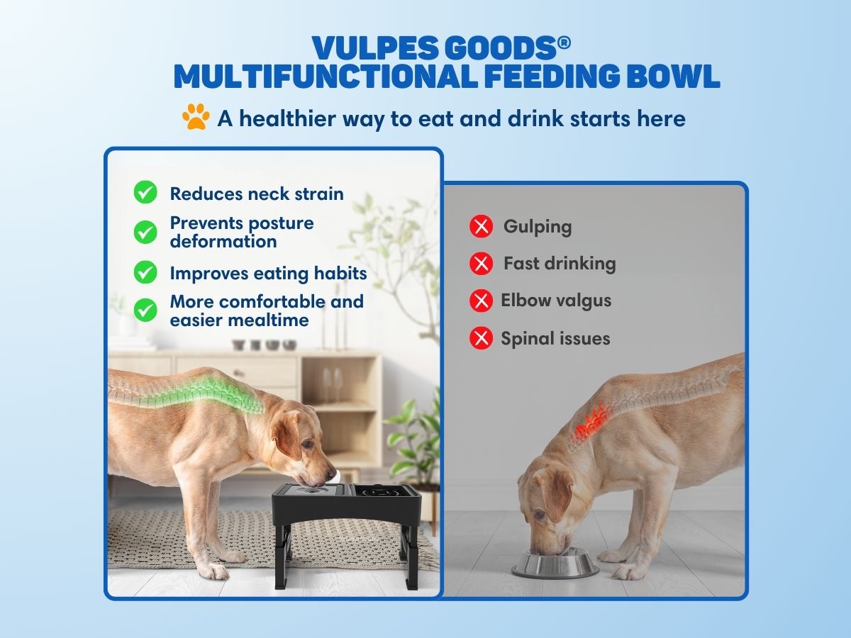 Vulpes Goods voerbak met standaard