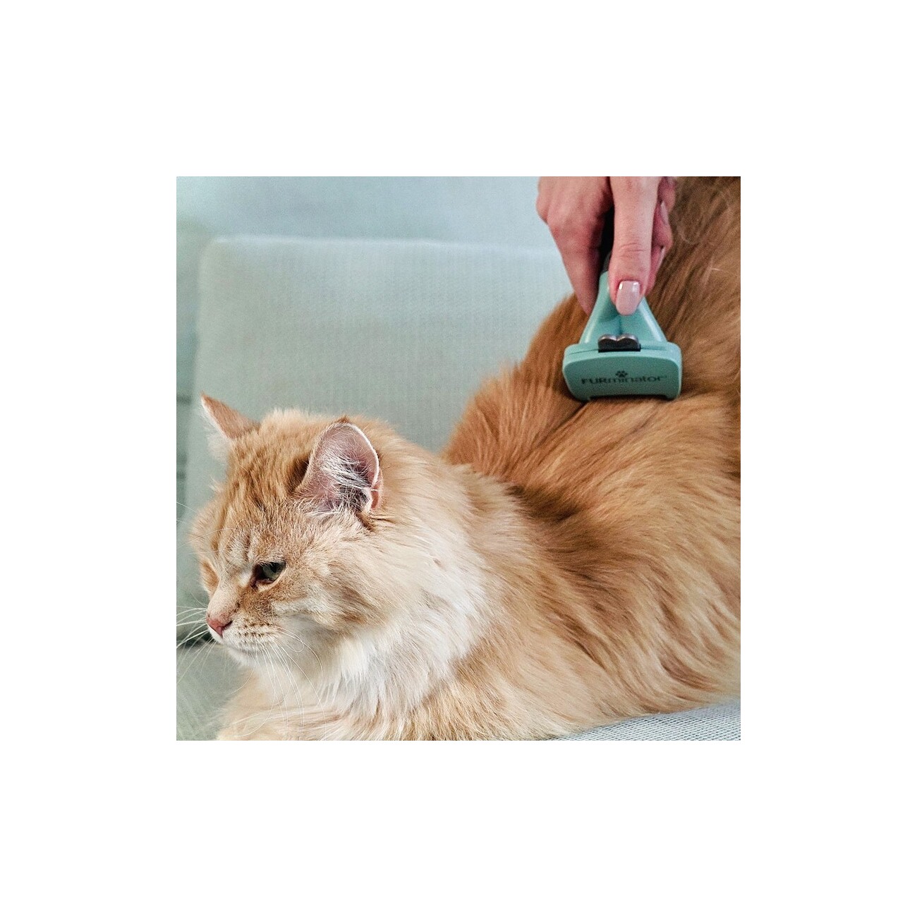 FURminator Katze S Langhaar