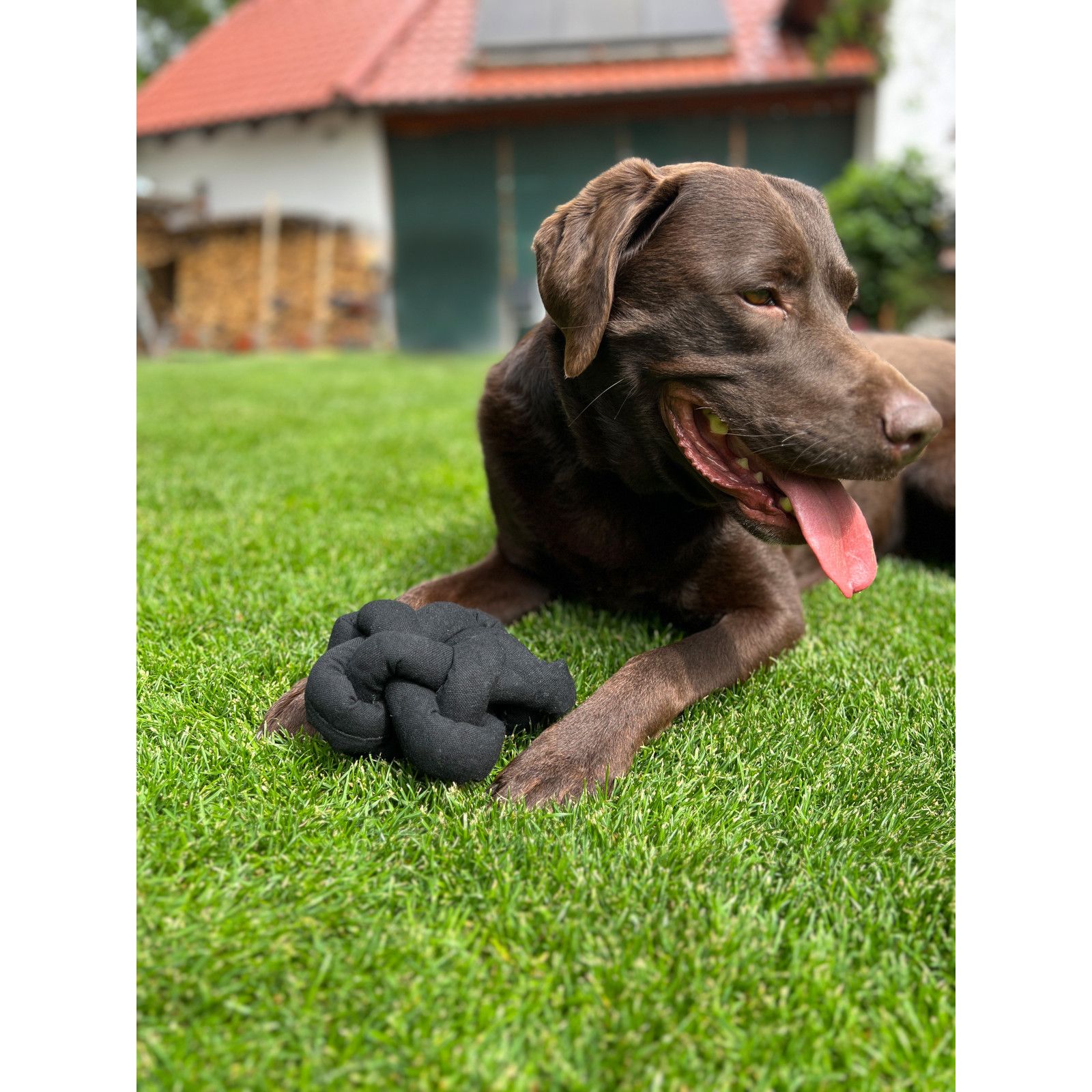 Aumüller Hundespielzeug Knotenball Canvas