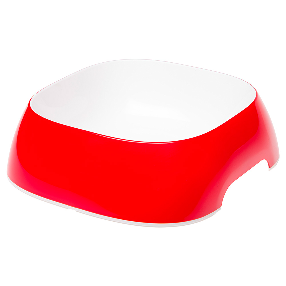 Écuelle glam large plastique chiens chats différentes mesures couleurs mode pratique