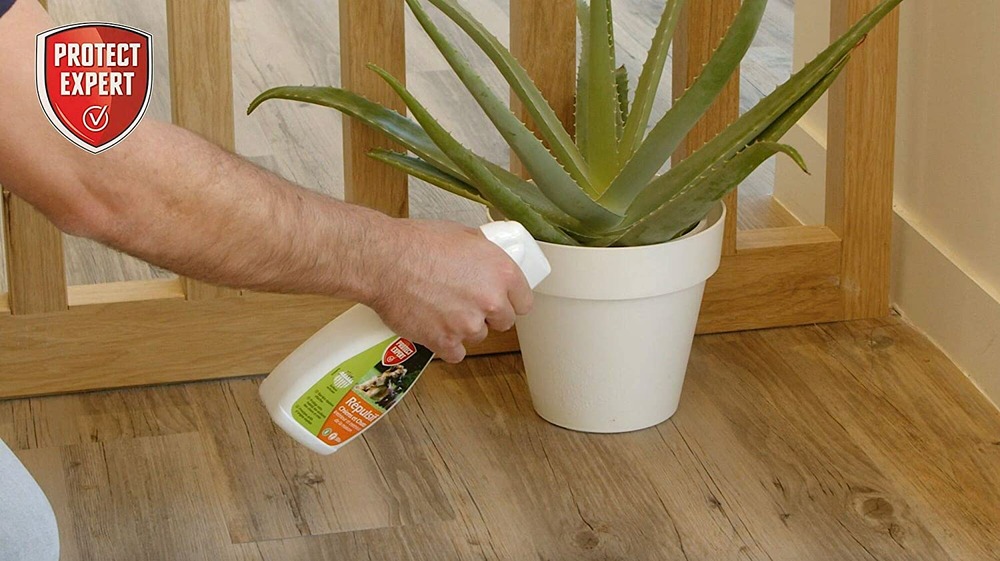Repul500 | répulsif chats et chiens liquide | 500ml | prêt-à-l'emploi