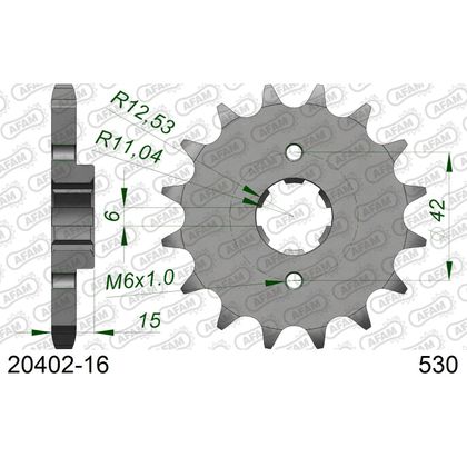 Kit chaine AFAM 530 Type Acier