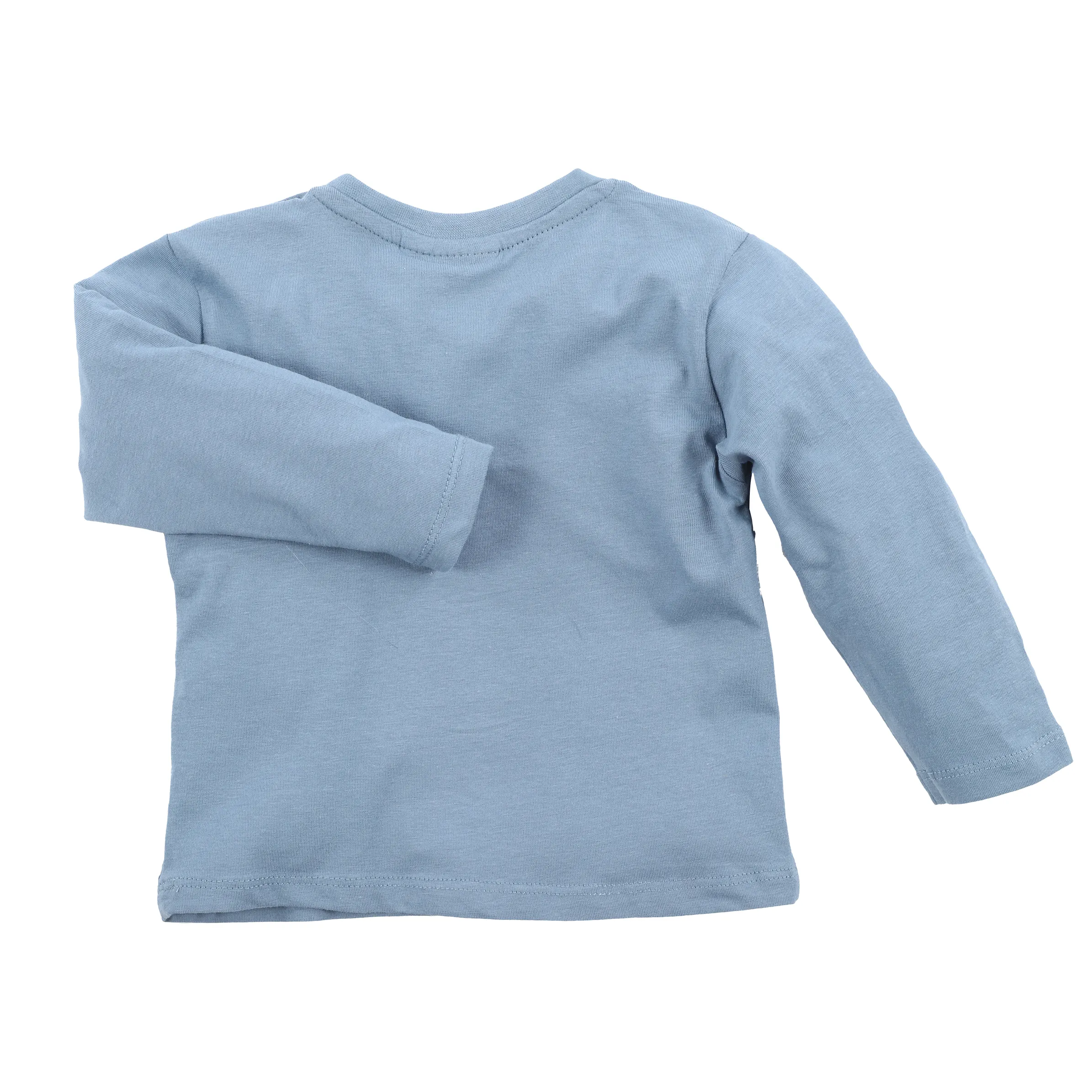 Baby Langarmshirt mit Dinoprint
