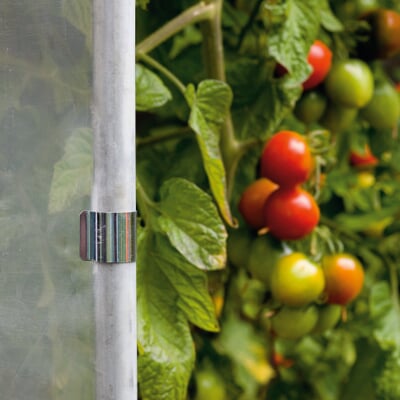 Tomatenhaus Stahlrahmen