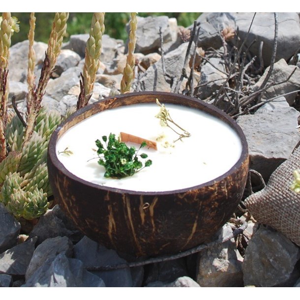 Bougie qui devient plante verveine