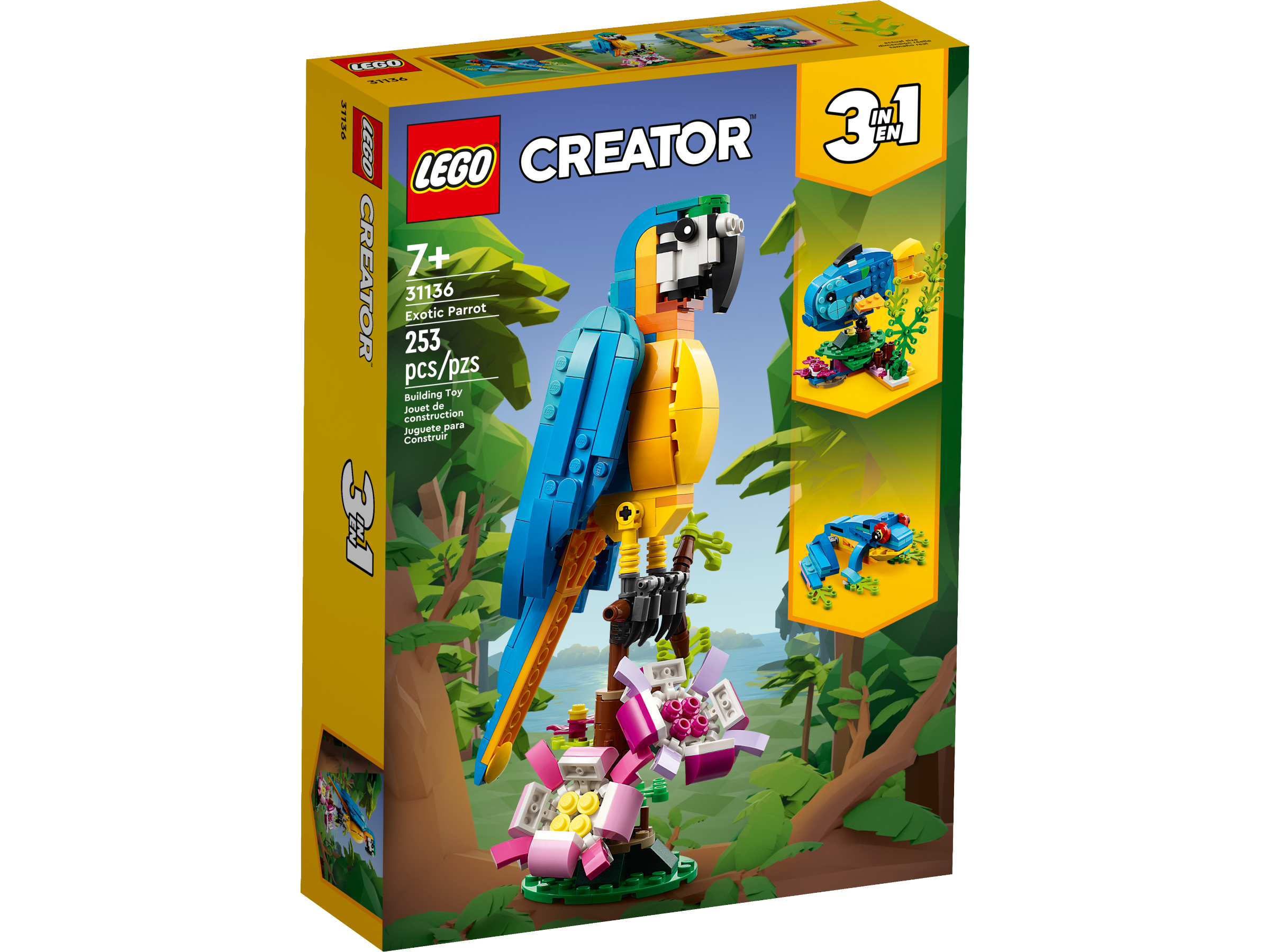 papagaio exótico 31136