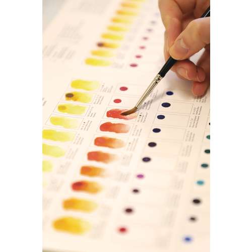WINSOR & NEWTON™ Professional WATER COLOUR™ Dot Card