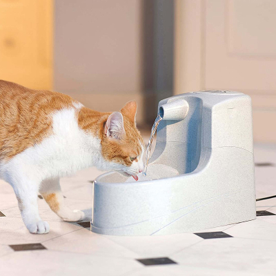 PetSafe Drinkwell Mini Trinkbrunnen 1.2l