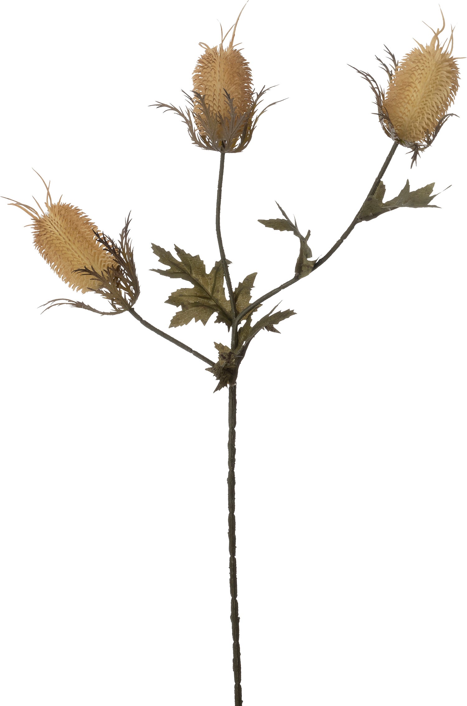 Intratuin kunstbloem Distel bruin 66 cm