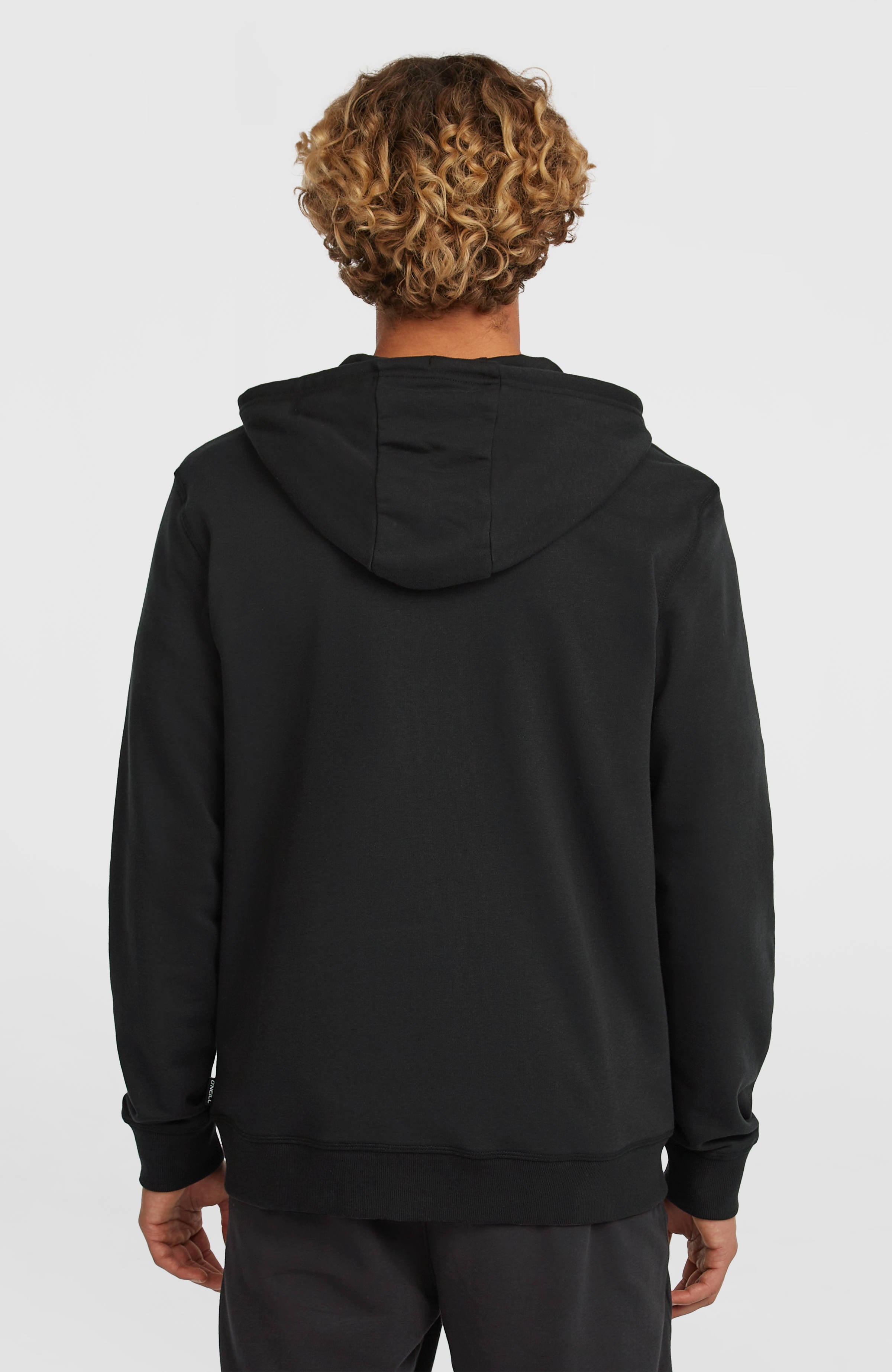 Small Logo hoodie met volledige rits