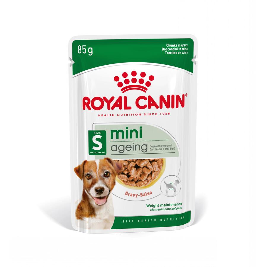 Sachês Royal Canin Mini 12+ para cães idosos em molho.