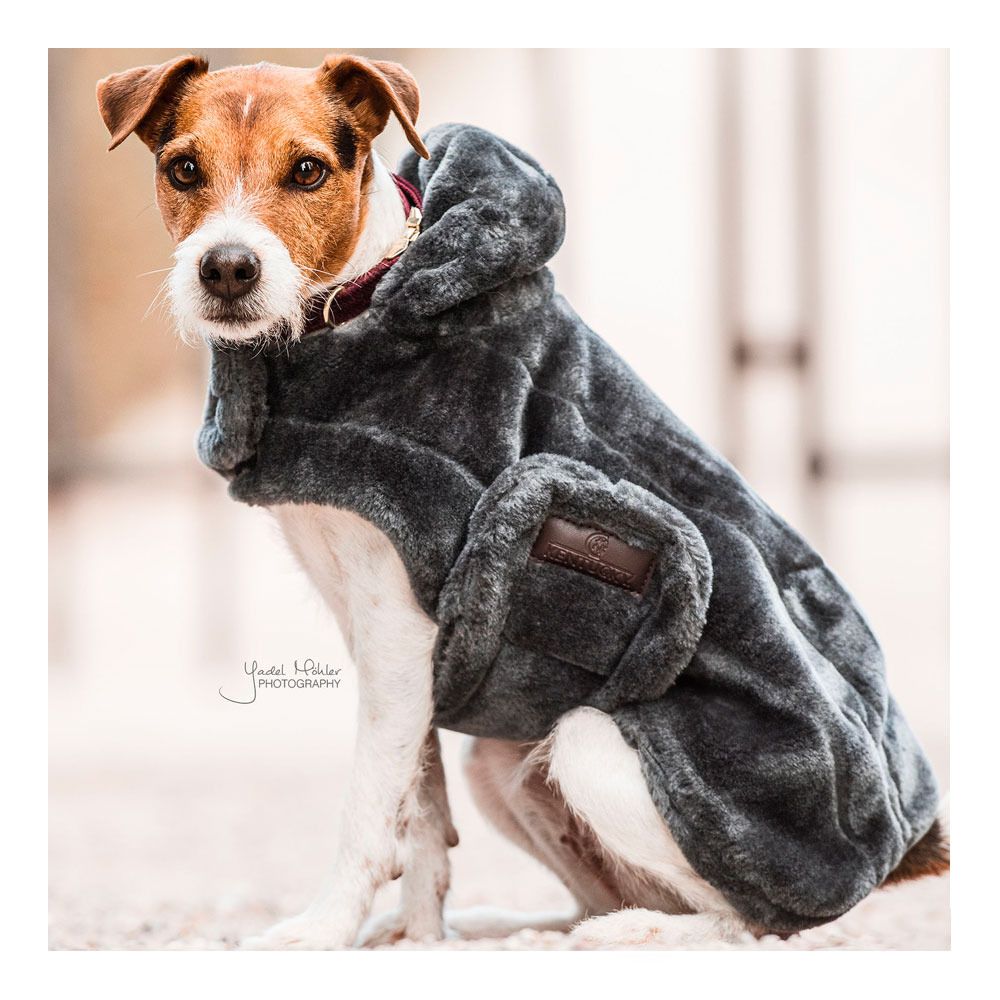 Kentucky FAKE FUR - Couverture pour chien grey