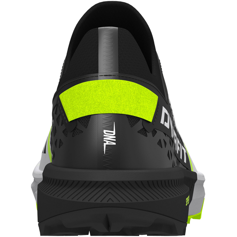 Dynafit Alpine DNA 2 Schuhe
