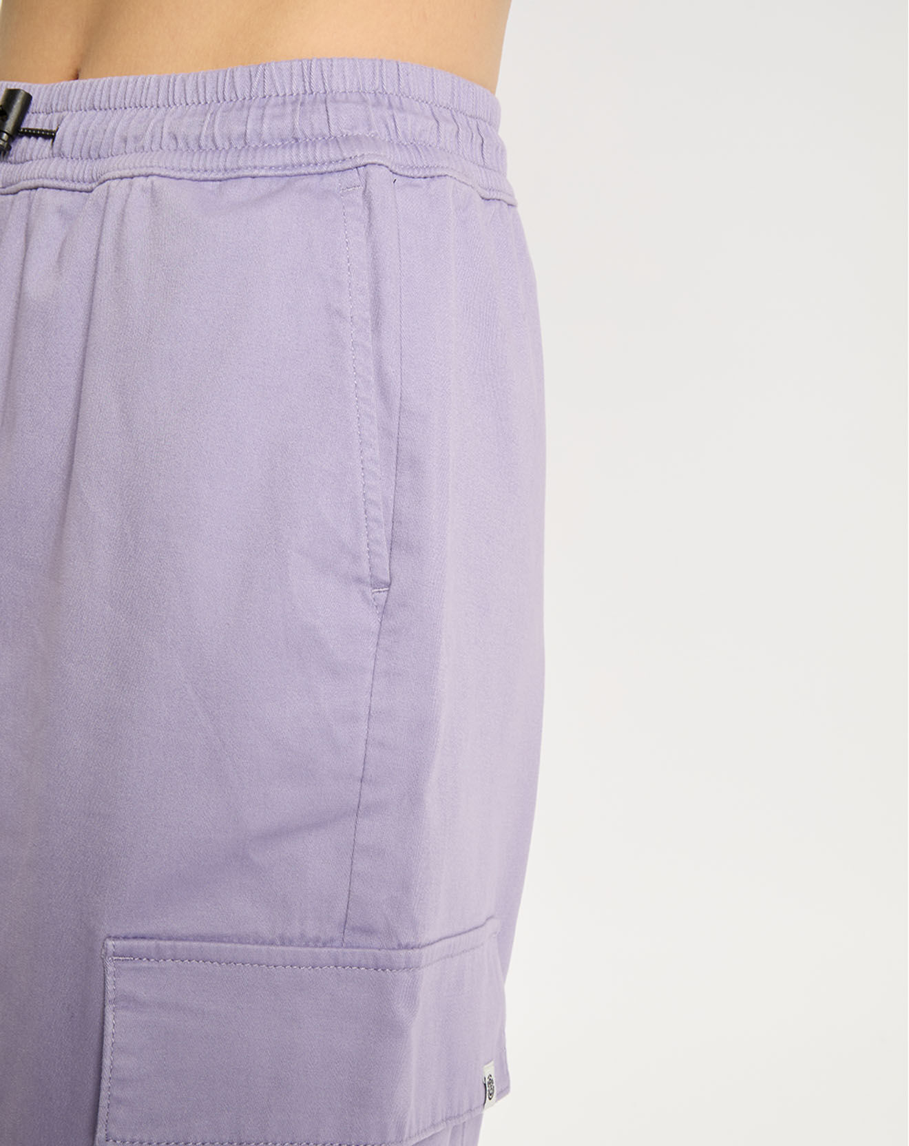 Element Pantalon Chillin Cargo violet