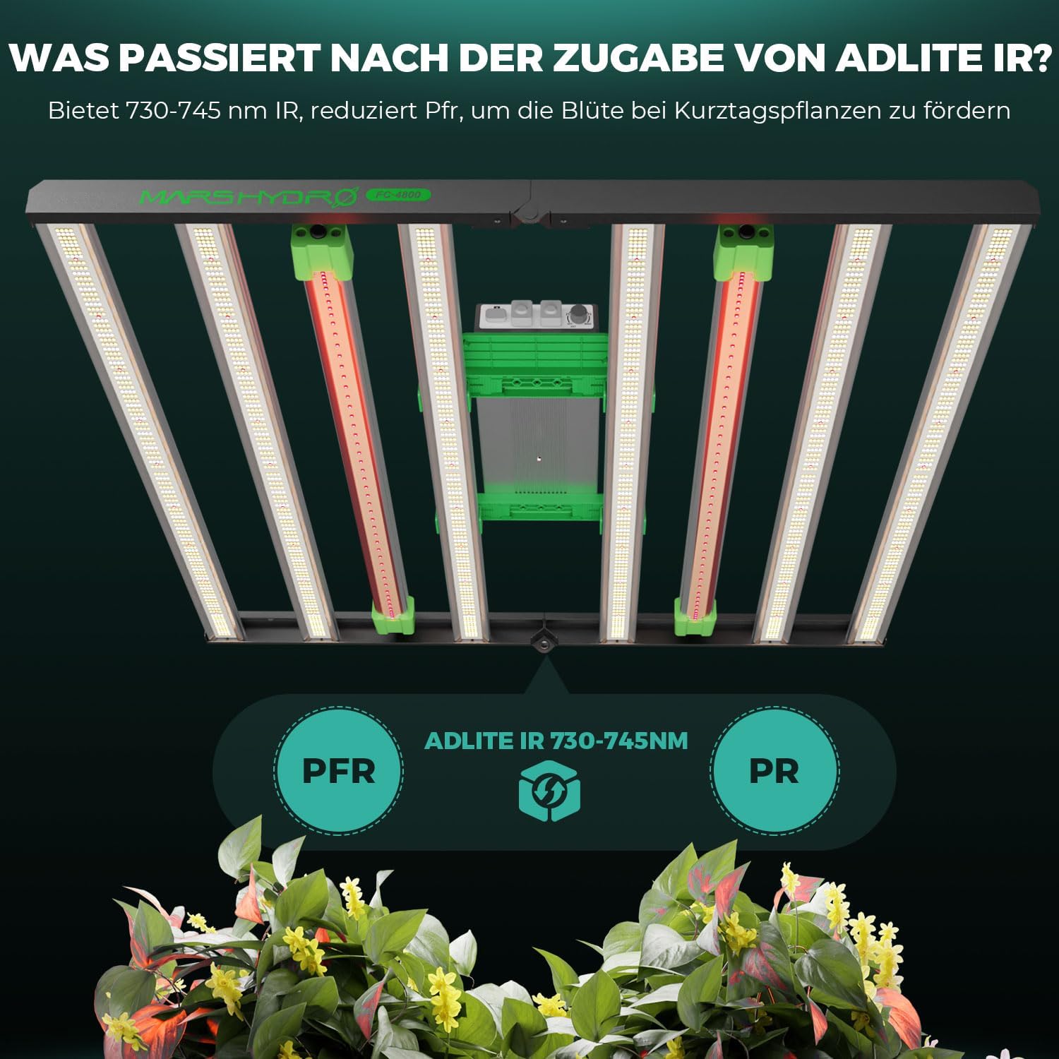MARS HYDRO ADLITE UR5530 LED Pflanzenlampe für Innenpflanzen, 120x60 cm Abdeckung Grow Lampe, Fördert Photosynthese, Stärkt Pflanzenresistenz, Unterstützt Blüte, LED Pflanzenlampen Grow Light