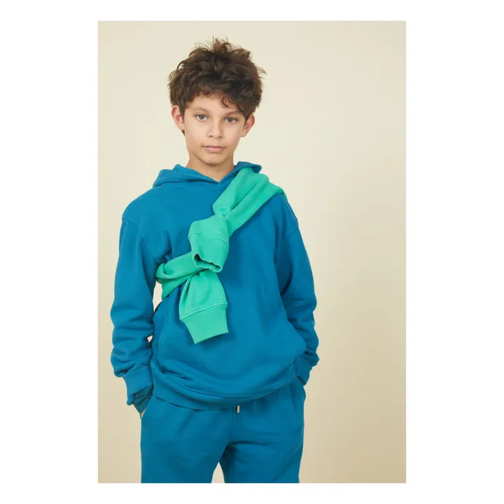 SMALLABLE BASICS Sweat A Capuche Garçon Coton Bio | Bleu azur