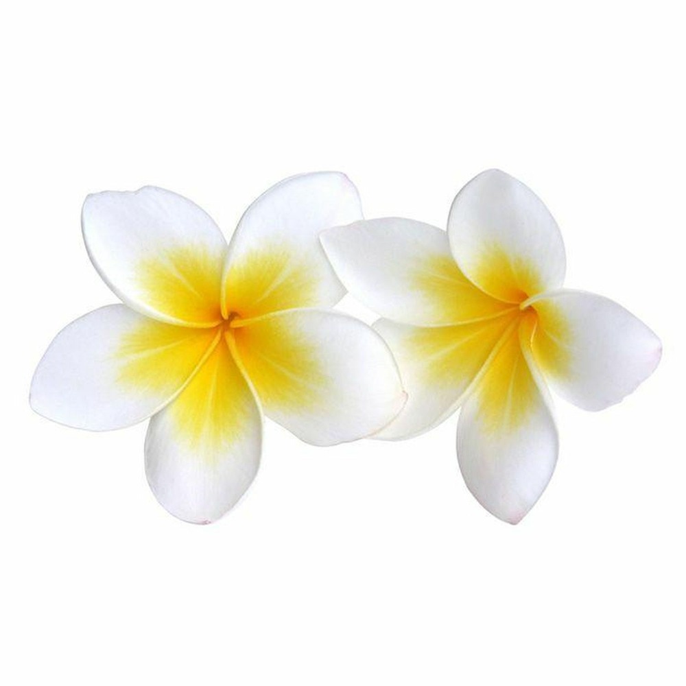 Parfum pour savon 54 ml - monoï