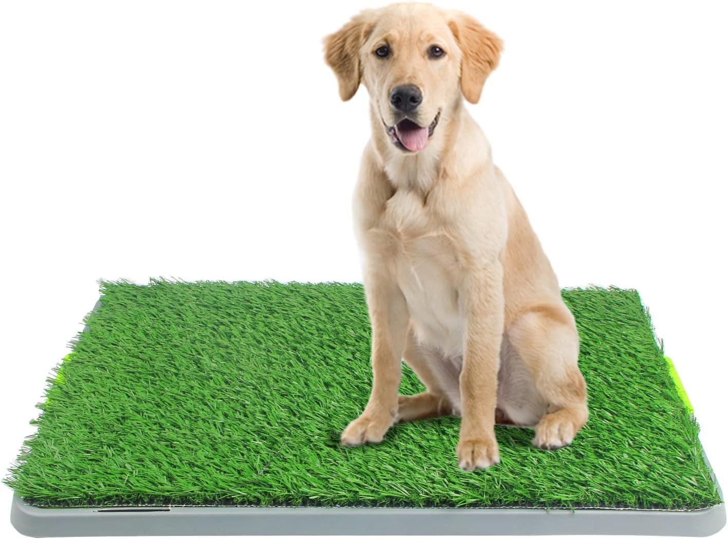 Tapete reutilizável para treinamento de xixi de cachorro em grama artificial da Petplus