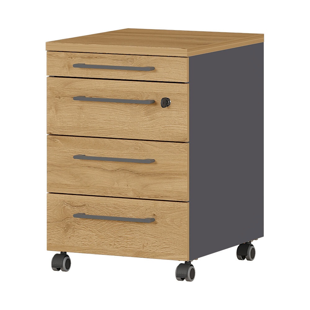 Rollcontainer ISORNO 42 x 61 cm Graphitgrau/ Eiche