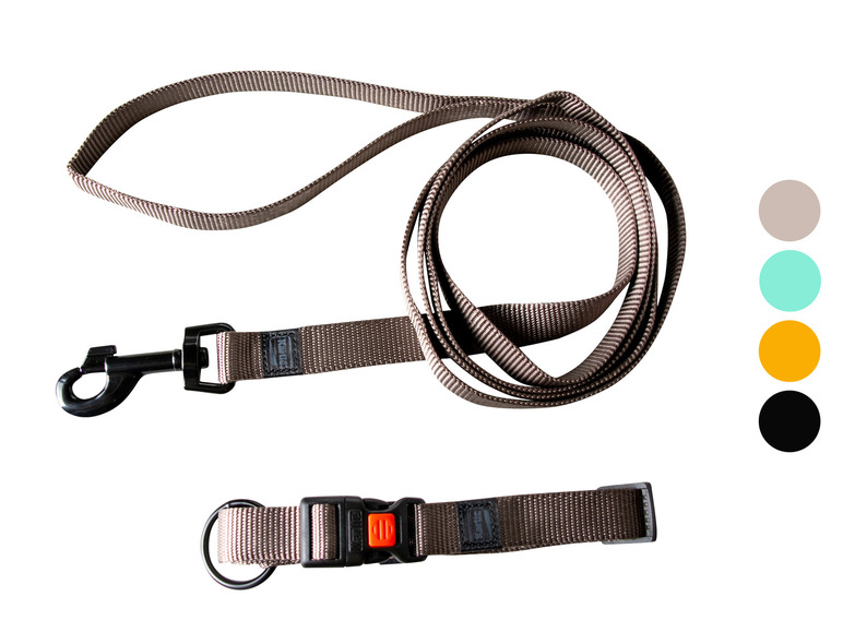 Halsband met lijn