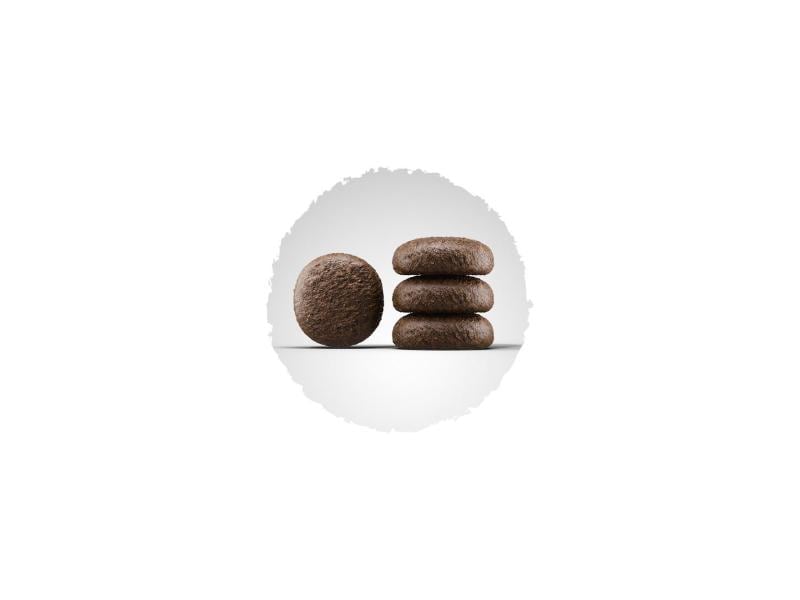 Josera Trockenfutter Daily Adult Ente und Kartoffel, 12.5 k Alleinfuttermittel für ausgewachsene Hunde