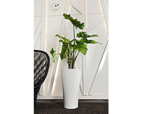 Lechuza Delta plantenbak Ø 30 cm H 56 cm wit incl. zelfbewateringssysteem, plantenbak, substraat en waterniveau-indicator