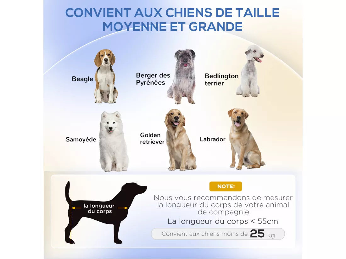 Canapé chien lit pour chien chat design contemporain dim. 101L x 62P x 34H cm coussin moelleux velours beige