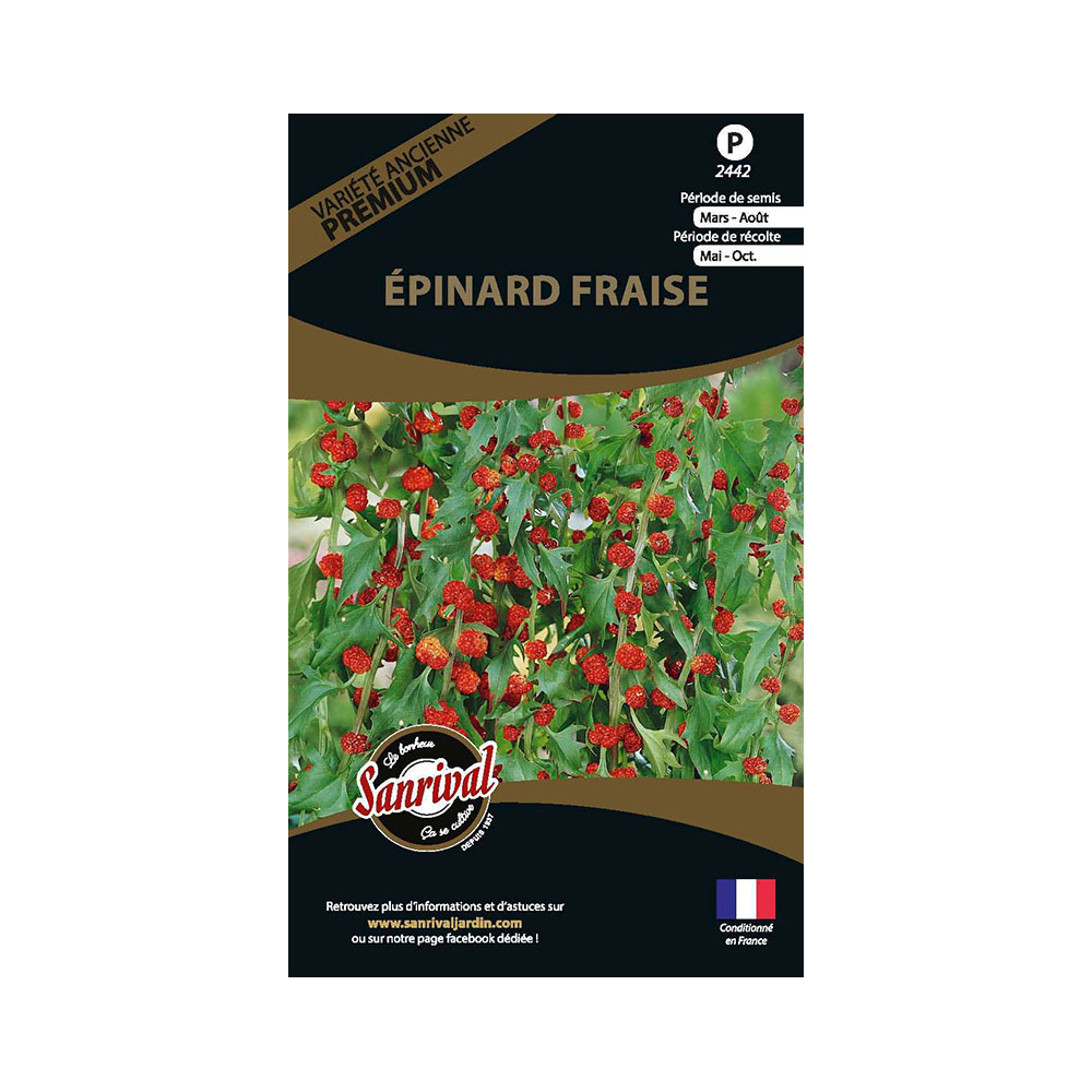 Graines potagères premium épinard fraise
